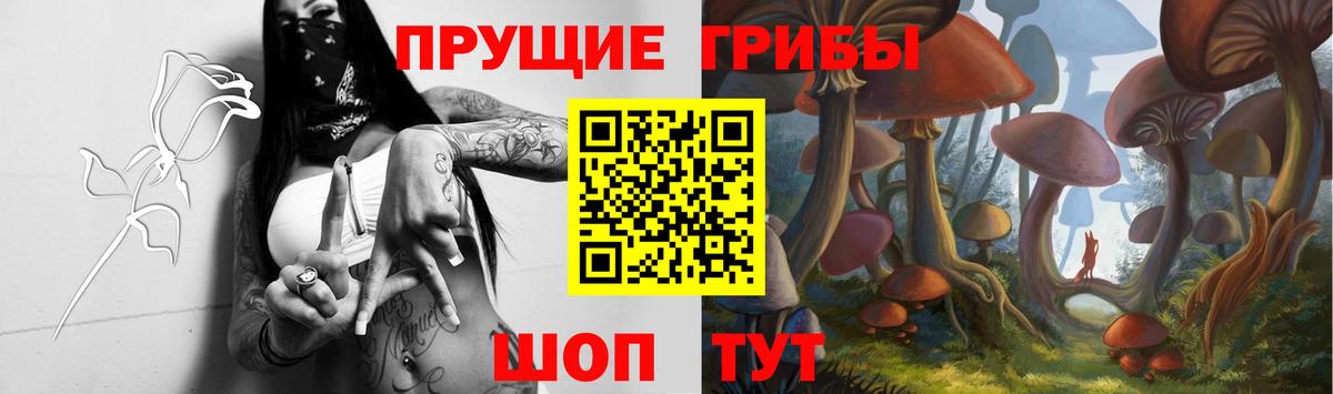 Галлюциногенные грибы ЛСД  Псилоцибиновые грибы Psilocybine cubensis  Кызыл  Вход с VPN 